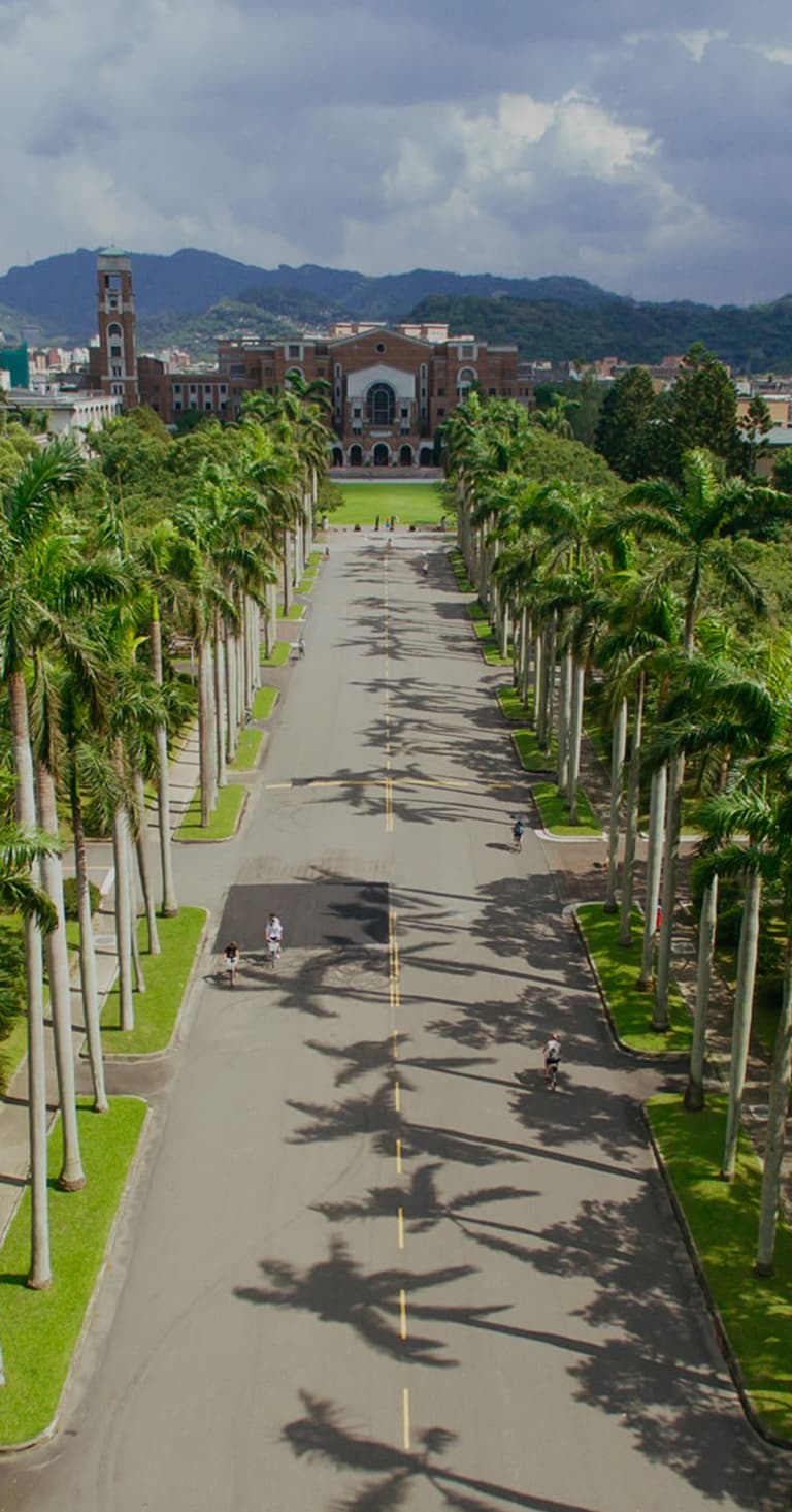 國立臺灣大學椰林大道與校園景觀