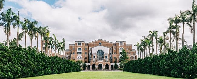 台大校園 — 椰林大道與圖書館